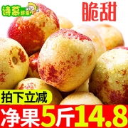 诗慕 新鲜冬枣大枣 5斤 9.8元包邮（需用券）