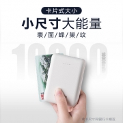飞毛腿 双向便携充电宝 10000毫安 49元包邮