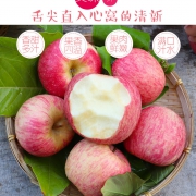 新鲜水果苹果应季红富士整箱脆甜带箱5斤非红星栖霞嘎啦10山西批 27.9元