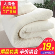 ￥9.9 10日：新疆手工棉被 棉絮 90*200CM 2斤