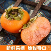 茄圃 山西脆柿 5斤