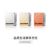 Taigroo 钛古 IC-A2102 水墨黑电磁炉