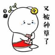 1日0点、双11预告：母婴尖货 好价汇总