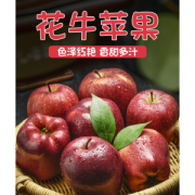 甘肃天水花牛苹果 带箱10斤 应季现摘
