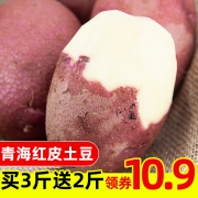 知农棠  红皮黄心土豆5斤