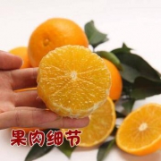 PLUS会员：曲米购 四川爱媛38号果冻橙 净重2斤