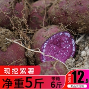 味记园 农家现挖紫薯带箱6斤 12.8元