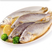 海猛 渤海海捕小黄鱼（30-42条）500g *3件 39元包邮（需用券）