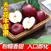 甘肃花牛苹果 红蛇果 带箱10斤