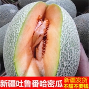 全中国最好吃的哈密瓜 新疆火焰山西州蜜25号 2个共重约7-8斤