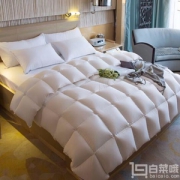 XIAZHEN 霞珍 95%白鹅绒加厚被芯 200*240cm