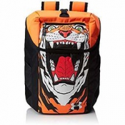 中亚Prime会员：Under Armour 安德玛 Flipside 1316958 运动背包