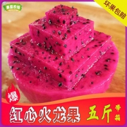 现摘红心火龙果大果5斤包邮