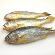 发顺丰5斤装新鲜冷冻野生东海黄鱼 券后￥29.8