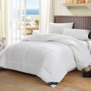 SOMERELLE 安睡宝 舒柔纤云双人春秋被芯 200*230cm 69.9元