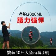 日本进口碳素、钓40多斤大鱼：浦望新 龙纹鲤鱼竿 超轻超硬28调