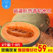 我们买过 全中国最好吃的哈密瓜 新疆火焰山西州蜜25号 2个共重7斤左右