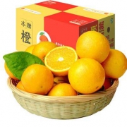 壹农壹果 湖南麻阳冰糖橙 毛重5斤