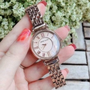 Anne Klein 安妮·克莱因 AK/2158GYGB 女士时尚石英表