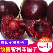 妙之韵 智利进口车厘子500g*2件 券后69.8元包邮 11月中旬发货