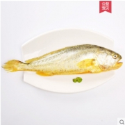菜帮 新鲜深海冰鲜大黄鱼 450-550g*3条 64元包邮（需用券）