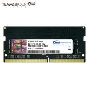 Team 十铨  8GB DDR4 2666 笔记本内存条 黑色 175元包邮