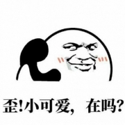 11日0点、双11手机电脑好价汇总