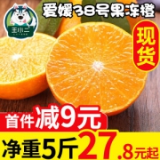 王小二 四川爱媛38号果冻橙 5斤