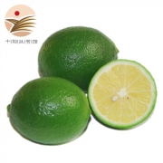 harmoniouslife 泰和生活 新鲜青柠檬 500g 单果约50-120g *5件 12.5元包邮（需用券）