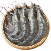 30日10点：海族 新鲜海捕 青岛大虾 9-10cm 1650g 约80-100只