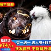 2只1500g：长生和 农家散养泰和乌鸡