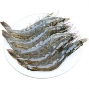 10点开始：缤鲜 新鲜海捕 青岛大虾 9-11cm 净重1600g 约80-110只
