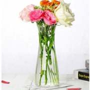 Luminarc 乐美雅 透明玻璃花瓶 高20cm 14元包邮（需用券）