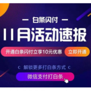 移动专享、促销活动：京东白条闪付 11月活动速报