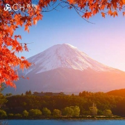重庆-日本东京+大阪6天1晚自由行（白班机直飞）
