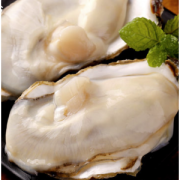 特大肉肥乳山生蚝 5斤整箱装