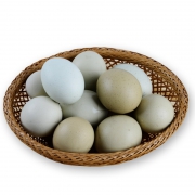 筱诺生鲜 新鲜绿皮乌鸡蛋 30枚 37.8元（需用券）