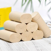 BABO 斑布 本色卷纸 无漂白竹浆卫生纸 10卷700g/提