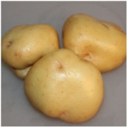sanfulai 三福来 马铃薯 10斤