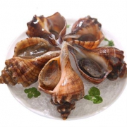 PLUS会员：wecook 味库 鲜活大海螺 4-8只 500g *3件
