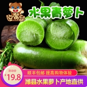 逗嘴鼠 水果青萝卜 5斤  券后9.9元