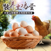 态谷食代 农家散养纯土鸡蛋 30枚共1450g