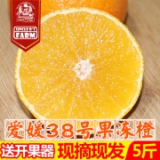 点叔叔 爱媛38号 果冻橙 5斤