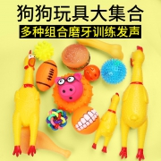 宠物玩具狗狗耐咬幼犬小狗磨牙惨叫尖叫鸡发声泰迪球用品金毛骨头 1.6元