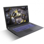 限地区：Hasee 神舟 战神 GX8-CT5DH 17.3英寸游戏笔记本电脑 (i5-9400、8GB、256GB+1TB、RTX2060 6G)