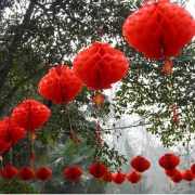 祺飞 灯笼大礼包（灯笼*1个+红包*12个） 1.1元包邮（需用券）