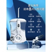 Chigo志高 冲牙器家用水牙线洗牙器CG—604