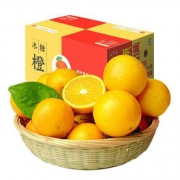 壹农壹果 湖南麻阳冰糖橙 5斤