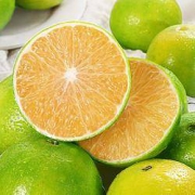 福瑞达 广西皇帝柑 5斤