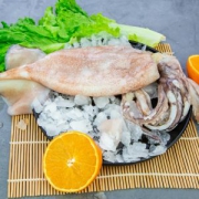 青岛特产 野生海捕鱿鱼 3斤 约2-4条